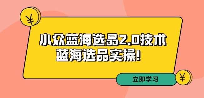 拼多多培训第33期：小众蓝海选品2.0技术-蓝海选品实操！-62创业网