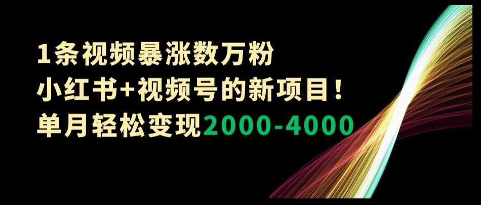 1条视频暴涨数万粉–小红书+视频号的新项目！单月轻松变现2000-4000【揭秘】-62创业网