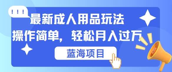 最新成人用品项目玩法，操作简单，动动手，轻松日入几张【揭秘】-62创业网