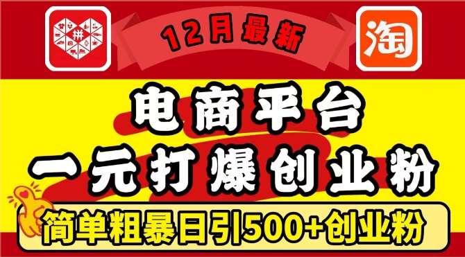 12月最新：电商平台1元打爆创业粉，简单粗暴日引500+精准创业粉，轻松月入过W【揭秘】-62创业网