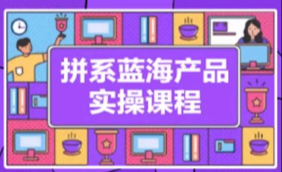 拼系冷门蓝海产品实操课程，从注册店铺到选品上架到流量维护环环相扣-62创业网