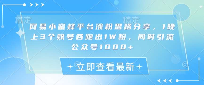 网易小蜜蜂平台涨粉思路分享，1晚上3个账号各跑出1W粉，同时引流公众号1000+-62创业网