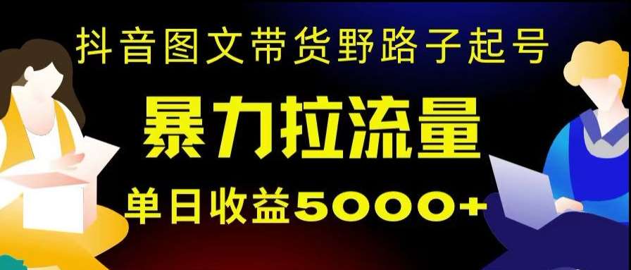 抖音图文带货暴力起号，单日收益5000+，野路子玩法，简单易上手，一部手机即可【揭秘】-62创业网