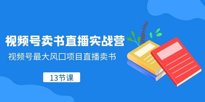 （8080期）视频号-卖书直播实战营，视频号最大风囗项目直播卖书（13节课）-62创业网