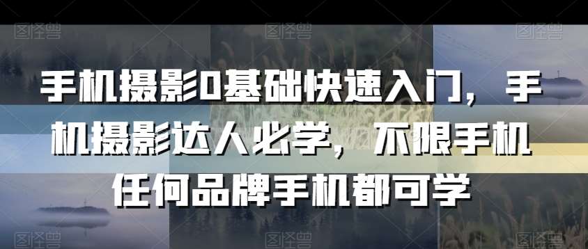 手机摄影0基础快速入门，手机摄影达人必学，不限手机任何品牌手机都可学-62创业网