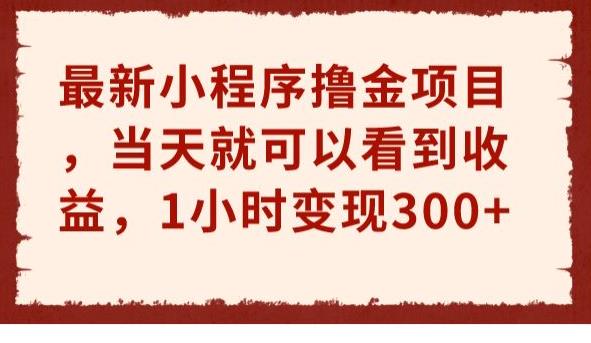 最新小程序撸金项目，当天就可以看到收益，1小时变现300+【揭秘】-62创业网