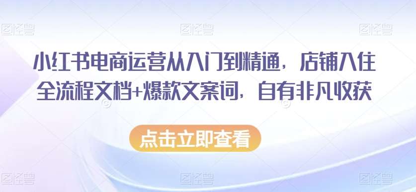 小红书电商运营从入门到精通，店铺入住全流程文档+爆款文案词，自有非凡收获-62创业网