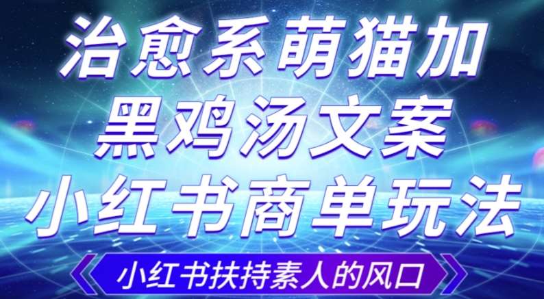 治愈系萌猫加+黑鸡汤文案，小红书商单玩法，3~10天涨到1000粉，一单200左右-62创业网