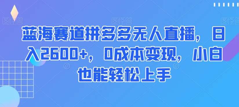 蓝海赛道拼多多无人直播，日入2600+，0成本变现，小白也能轻松上手【揭秘】-62创业网