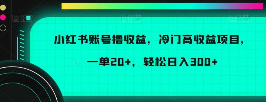 小红书账号撸收益，冷门高收益项目，一单20+，轻松日入300+【揭秘】-62创业网