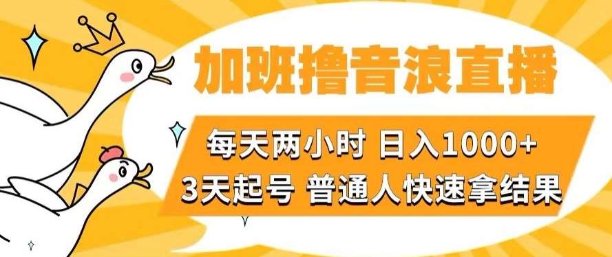 加班撸音浪直播，每天两小时，日入1000+，直播话术才3句，3天起号，普通人快速拿结果【揭秘】-62创业网