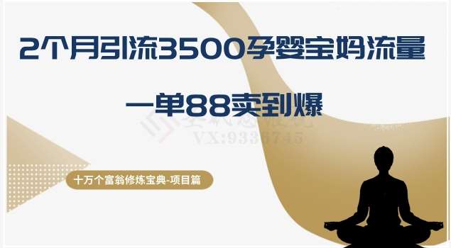 十万个富翁修炼宝典之13.2个月引流3500孕婴宝妈流量，一单88卖到爆-62创业网