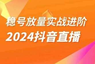 稳号放量实战进阶—2024抖音直播，直播间精细化运营的几大步骤-62网赚