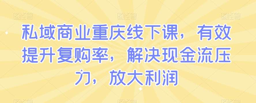 私域商业重庆线下课，有效提升复购率，解决现金流压力，放大利润-62创业网