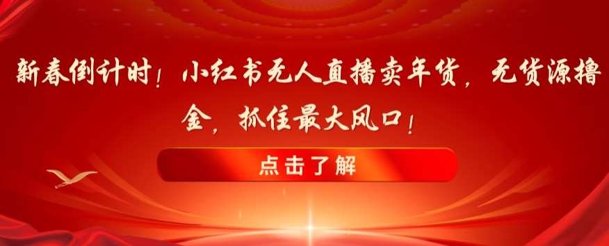 新春倒计时！小红书无人直播卖年货，无货源撸金，抓住最大风口【揭秘】-62创业网