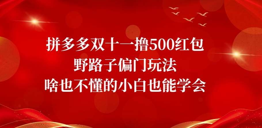 拼多多双十一撸500红包野路子偏门玩法，啥也不懂的小白也能学会【揭秘】-62网赚