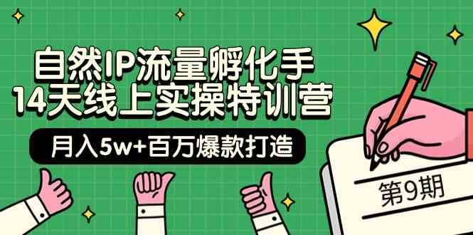 自然IP流量孵化手14天线上实操特训营【第9期】月入5w+百万爆款打造 (74节)-62创业网