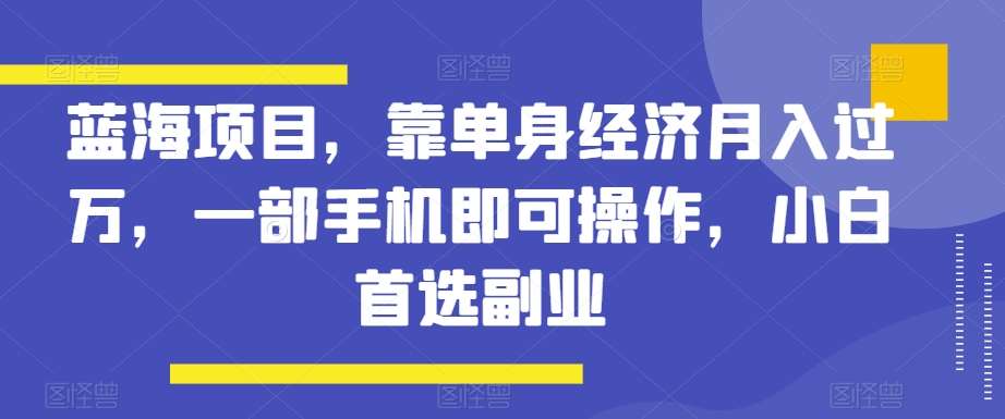 蓝海项目，靠单身经济月入过万，一部手机即可操作，小白首选副业【揭秘】-62创业网