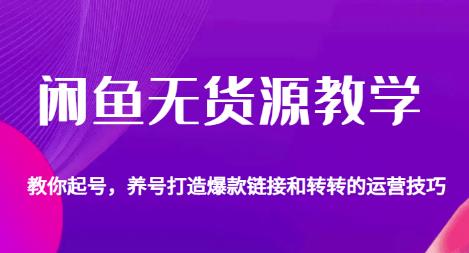 闲鱼无货源教学，教你起号，养号打造爆款链接以及转转的运营技巧-62创业网