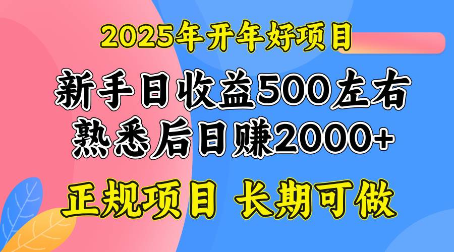 （14076期）2025开年好项目，单号日收益2000左右-62创业网