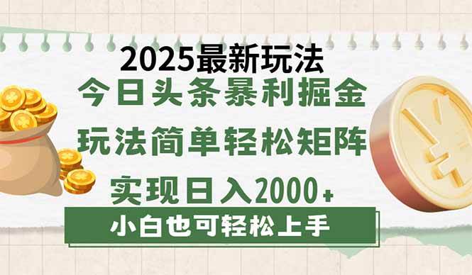 （14120期）今日头条2025最新玩法，思路简单，复制粘贴，轻松实现矩阵日入2000+-62网赚