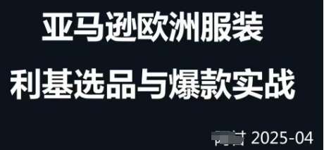 跨境电商选品案例24-25年，聚焦跨境电商选品策略与运营优化，助力卖家挖掘蓝海市场-讯领网创